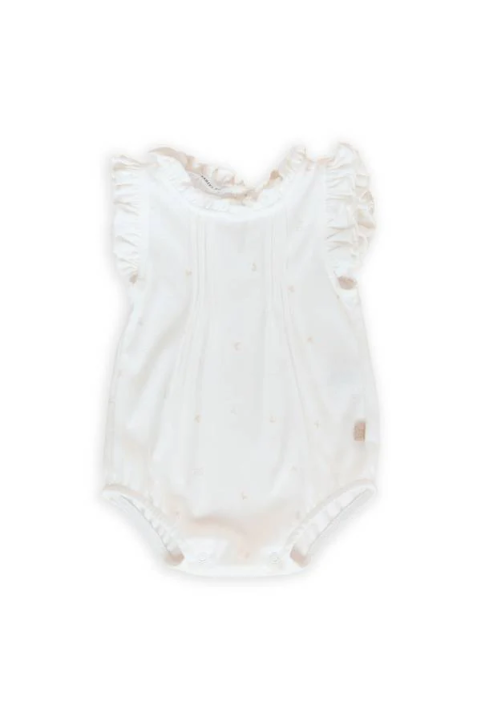 814_20colore_20423_20---9-600-202502061033_Original.png