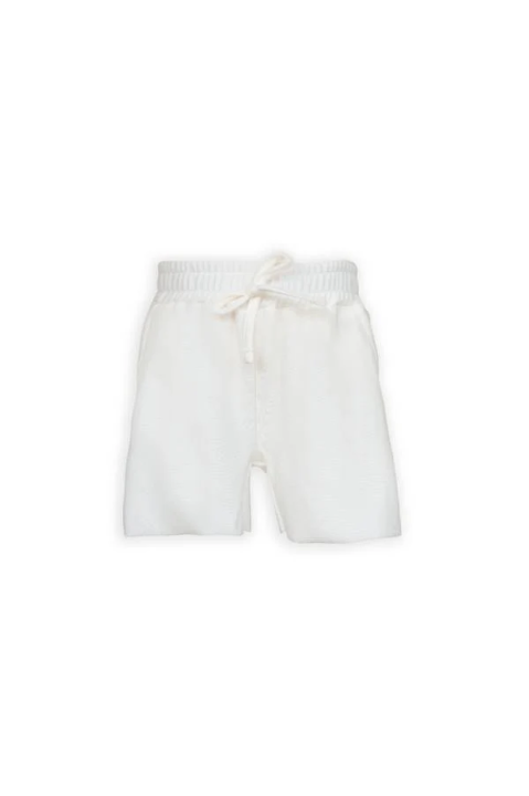 850_20colore_20111_20---7-600-202502061033_Original.png